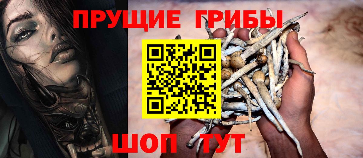 Галлюциногенные грибы GOLDEN TEACHER  Псилоцибиновые грибы Cubensis  Вход с VPN  Унеча 